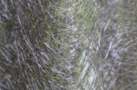 Lochluichart fibreglass roof work